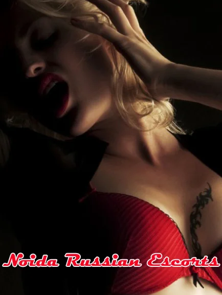 BBW Escorts in Noida
